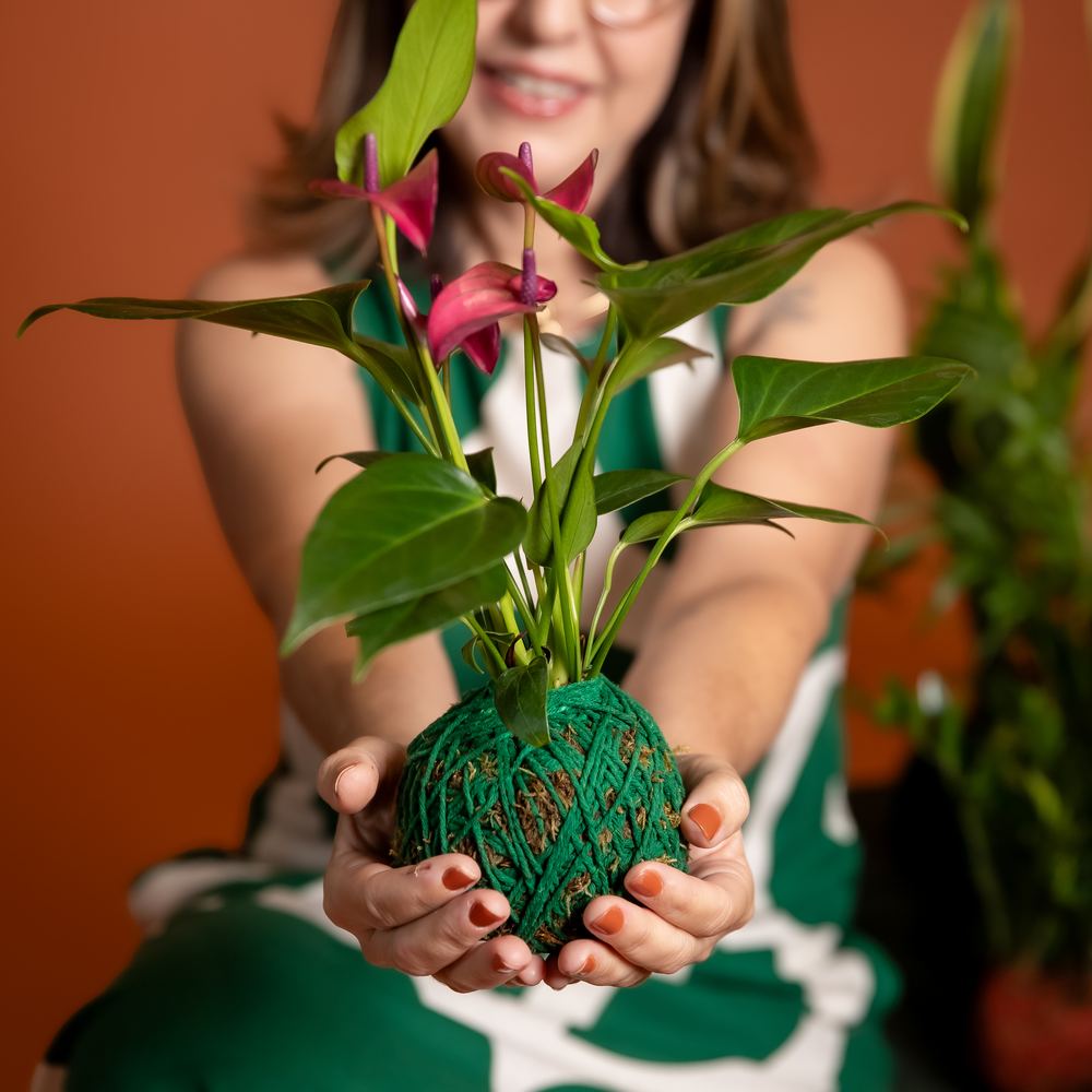 Grazy segurando uma kokedama de antúrio feita à mão